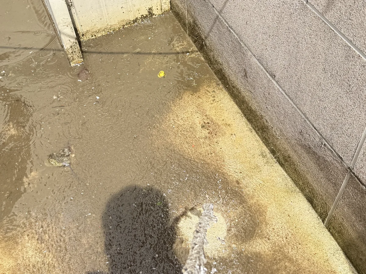 담양군 봉산면 배관 관리실·기계실 위생청소 사례 - 행진크린